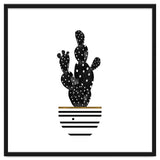 Black Cactus thumbnail