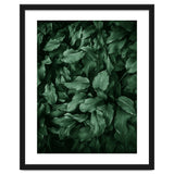 New Foliage Green Ii thumbnail