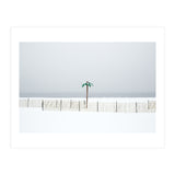 Fake palm tree in the winter snow beach (Print Only) thumbnail