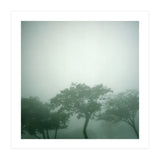 Silence of breath - 17 (Print Only) thumbnail