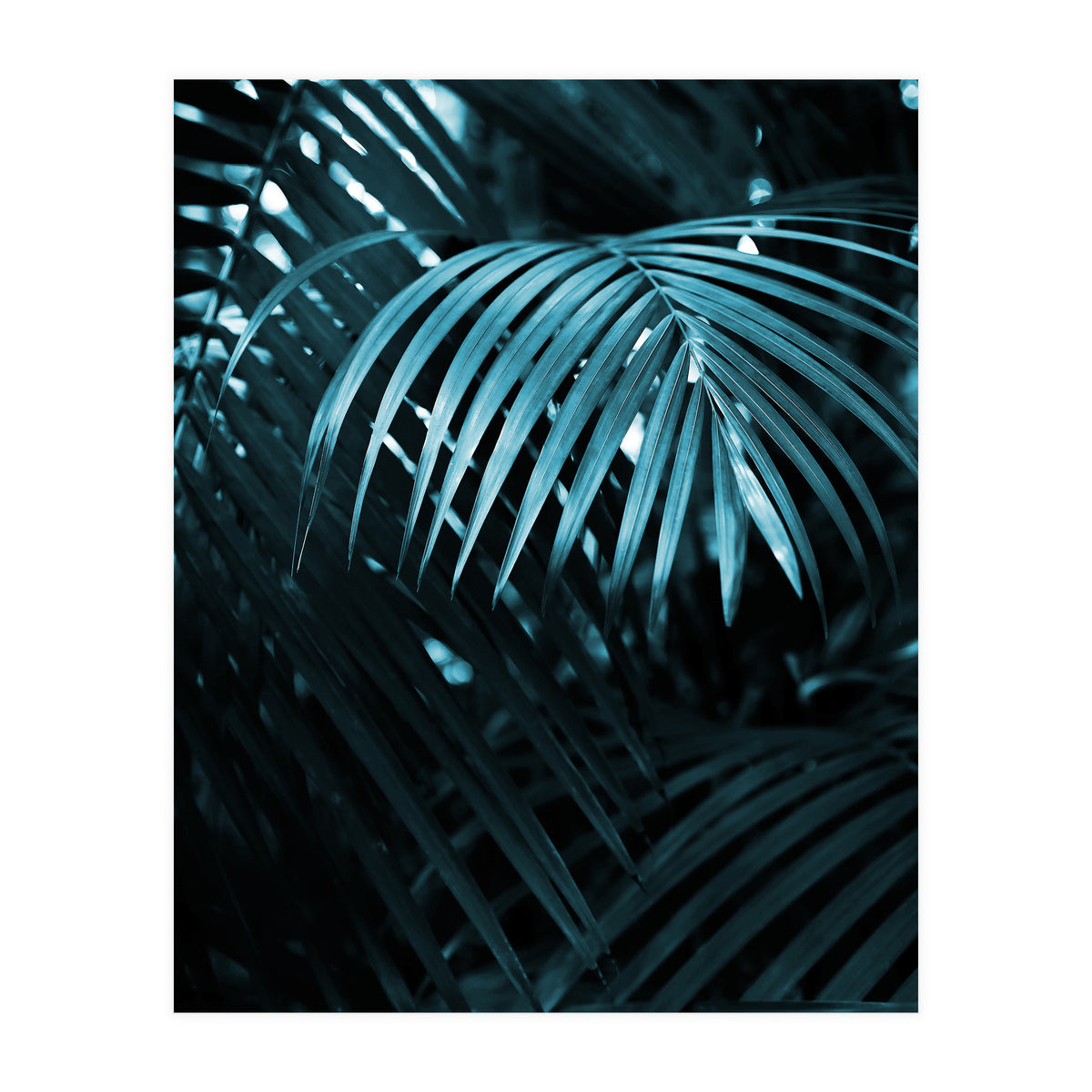 Blue Jungle Palm Ii (Print Only)