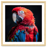 Scarlet Macaw Parrot Detailed Feather Close Up Portrait thumbnail