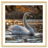 Graceful Swan Gliding On Reflective Water Surface thumbnail