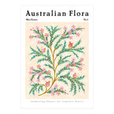 Australian Flora: Wax Flower (Print Only) thumbnail