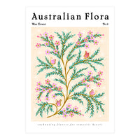 Australian Flora: Wax Flower (Print Only)