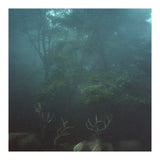 Silence of breath - 12 (Print Only) thumbnail