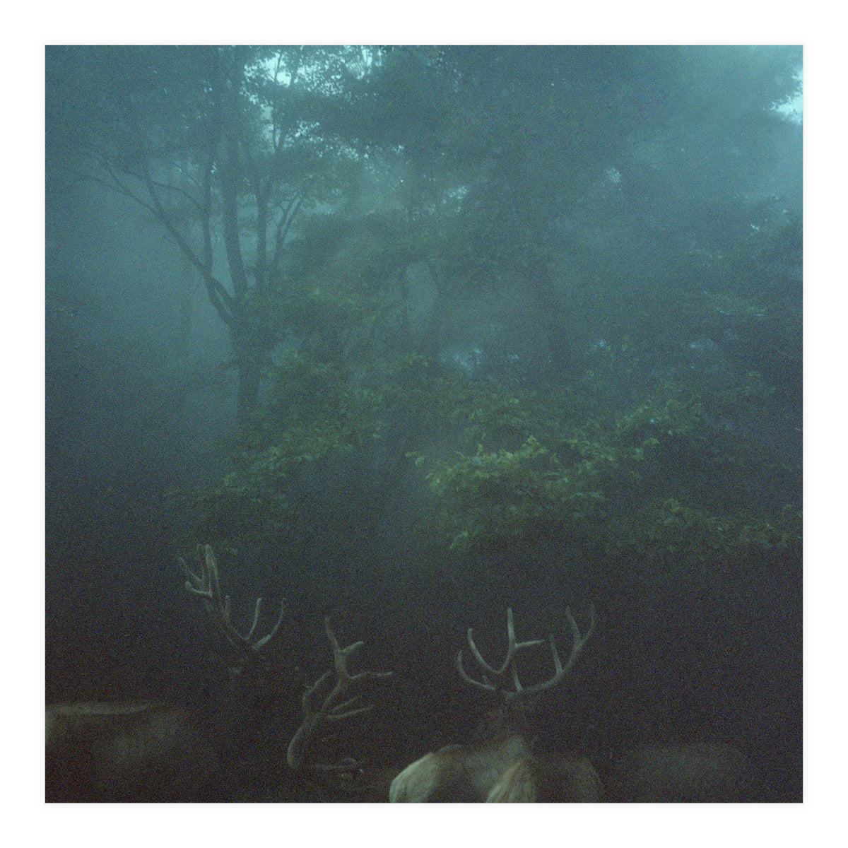 Silence of breath - 12 (Print Only)