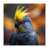 Close-up Portrait of a Yellow Cockatoo in the Wild. (Print Only) thumbnail