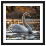 Graceful Swan Gliding On Reflective Water Surface thumbnail