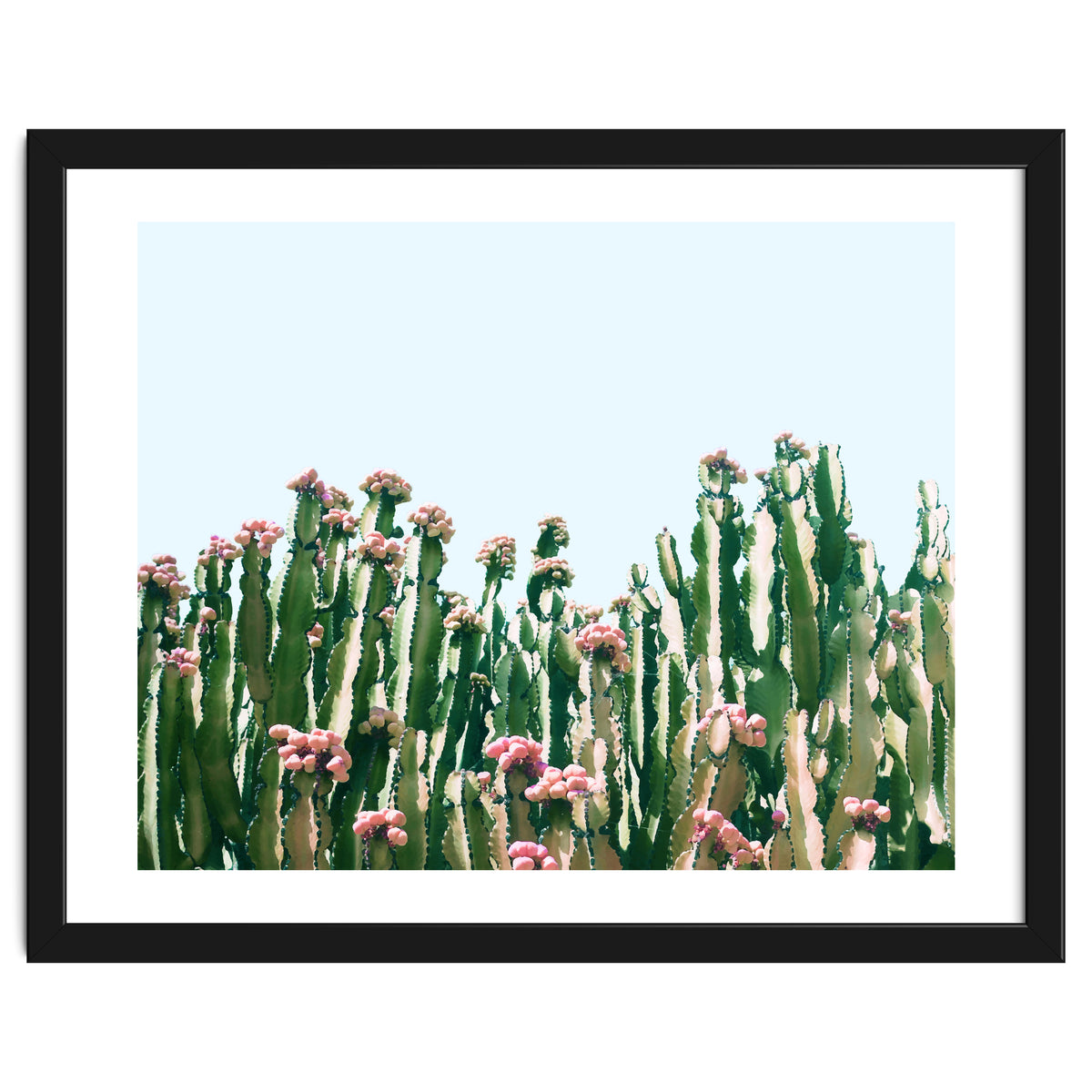 Blush Cactus #society6 #decor #buyart