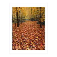 Ethereal Autumn Forest Path (Print Only)