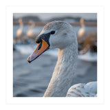 Majestic Swan Portrait In Snowy Waters (Print Only) thumbnail
