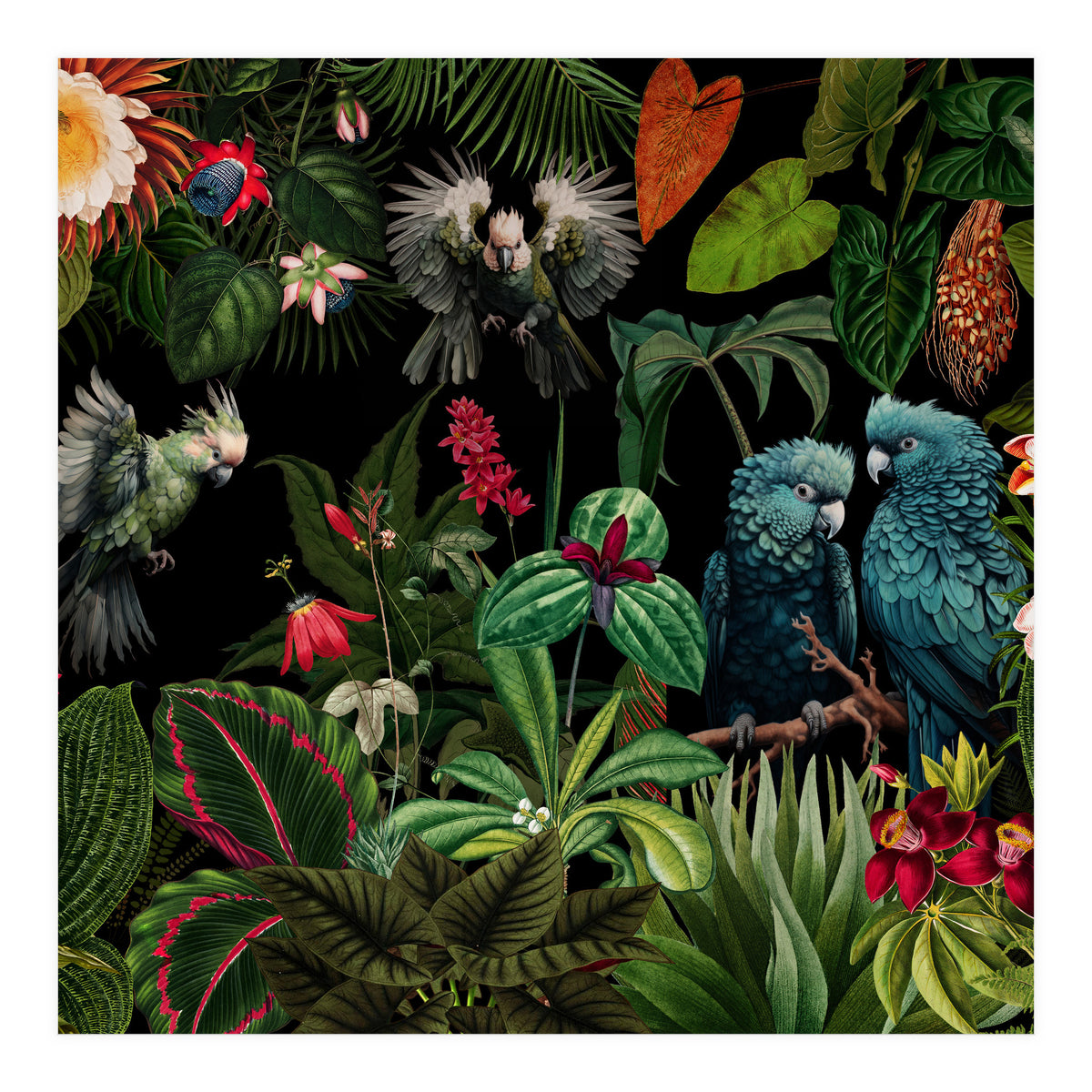 Moody Botanical Midnight Jungle Birds (Print Only)