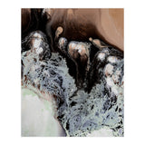 Kalahari (Print Only) thumbnail