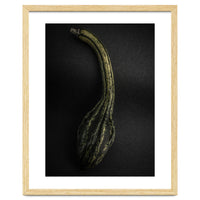 Gourds No 9 Color Version