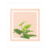 Botanical Art (Print Only) thumbnail