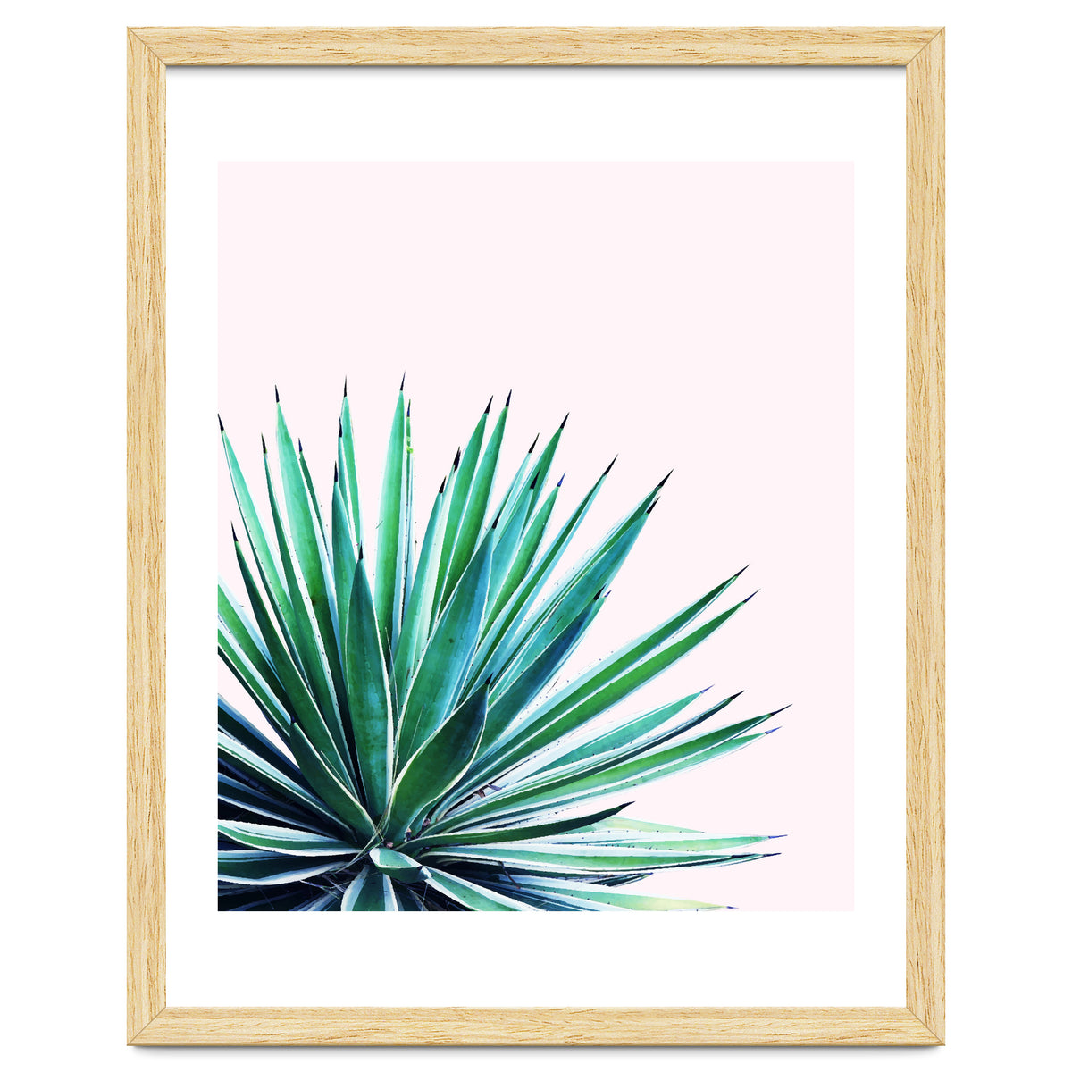 Agave Love #society6 #decor #buyart