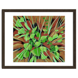 Meadow at spring thumbnail