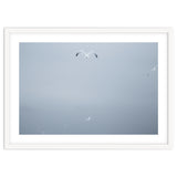 A flying seagull in the winter sky thumbnail