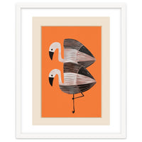 Tangerine Flamingos