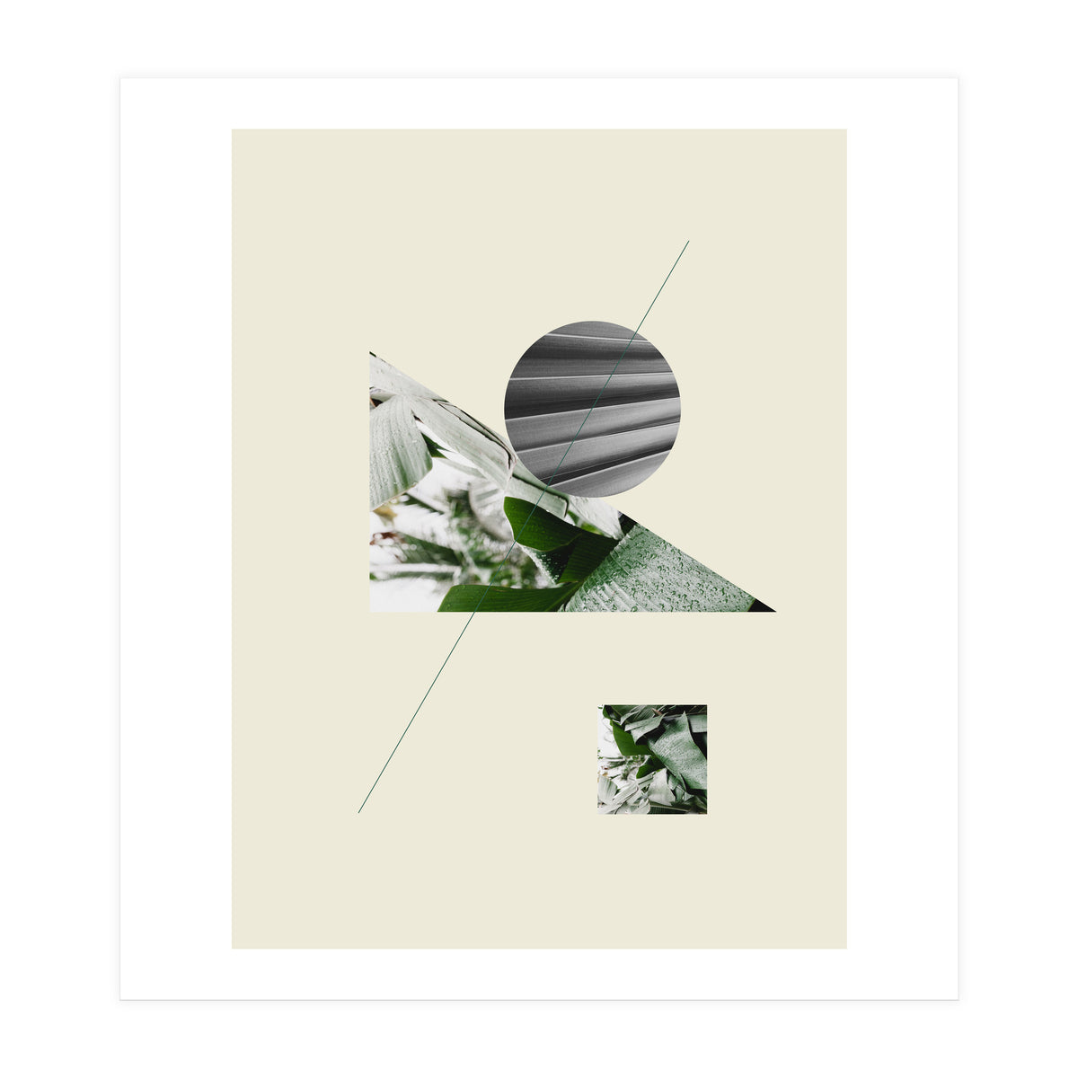 Tropical Geometry No 2 (Print Only)