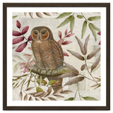 Autumn Owl thumbnail