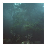 Silence of breath - 12 (Print Only) thumbnail