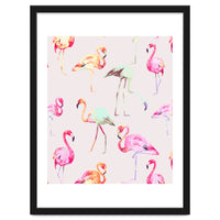 Flamingo Formation