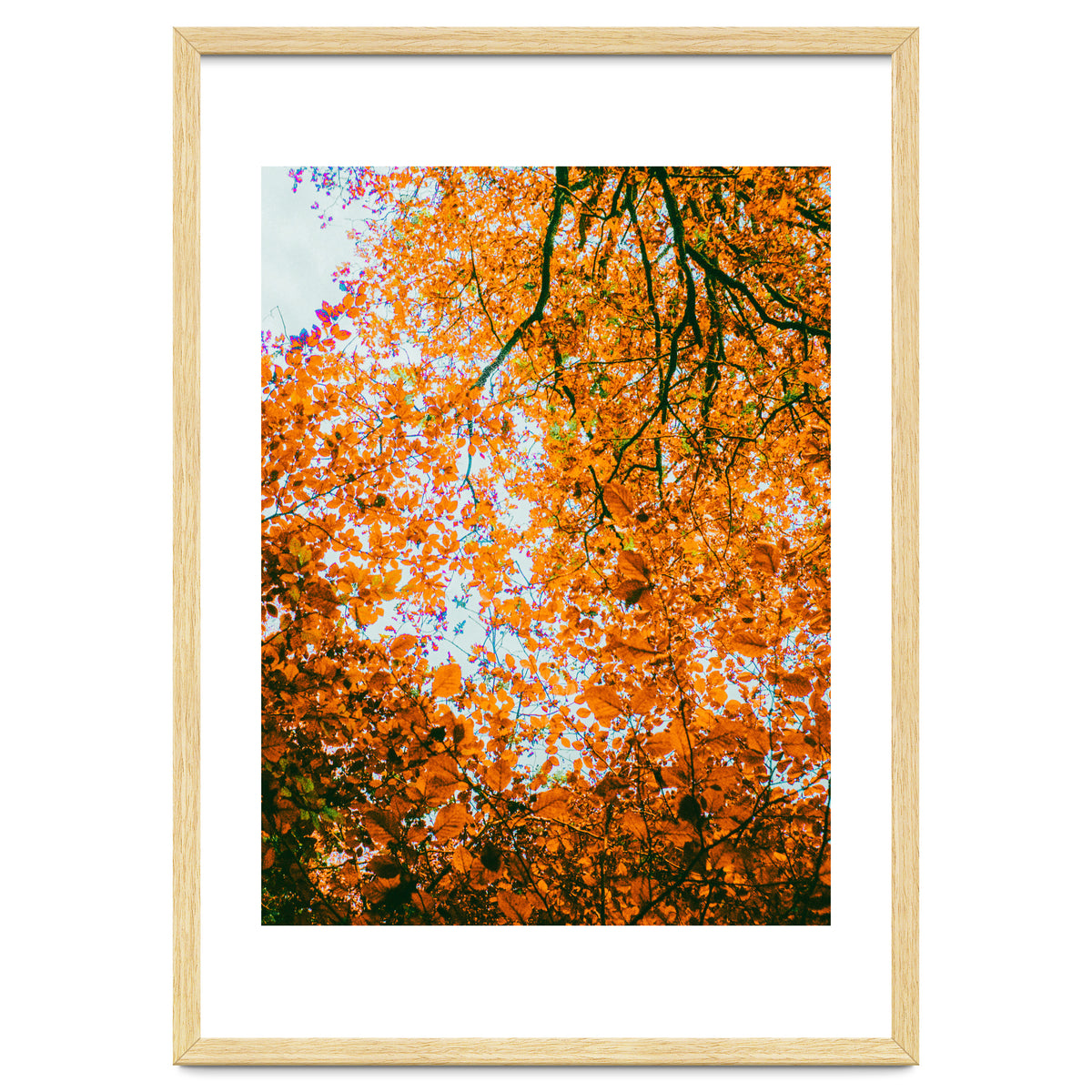 Autumn Leaves