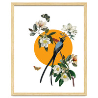 collage floral birds