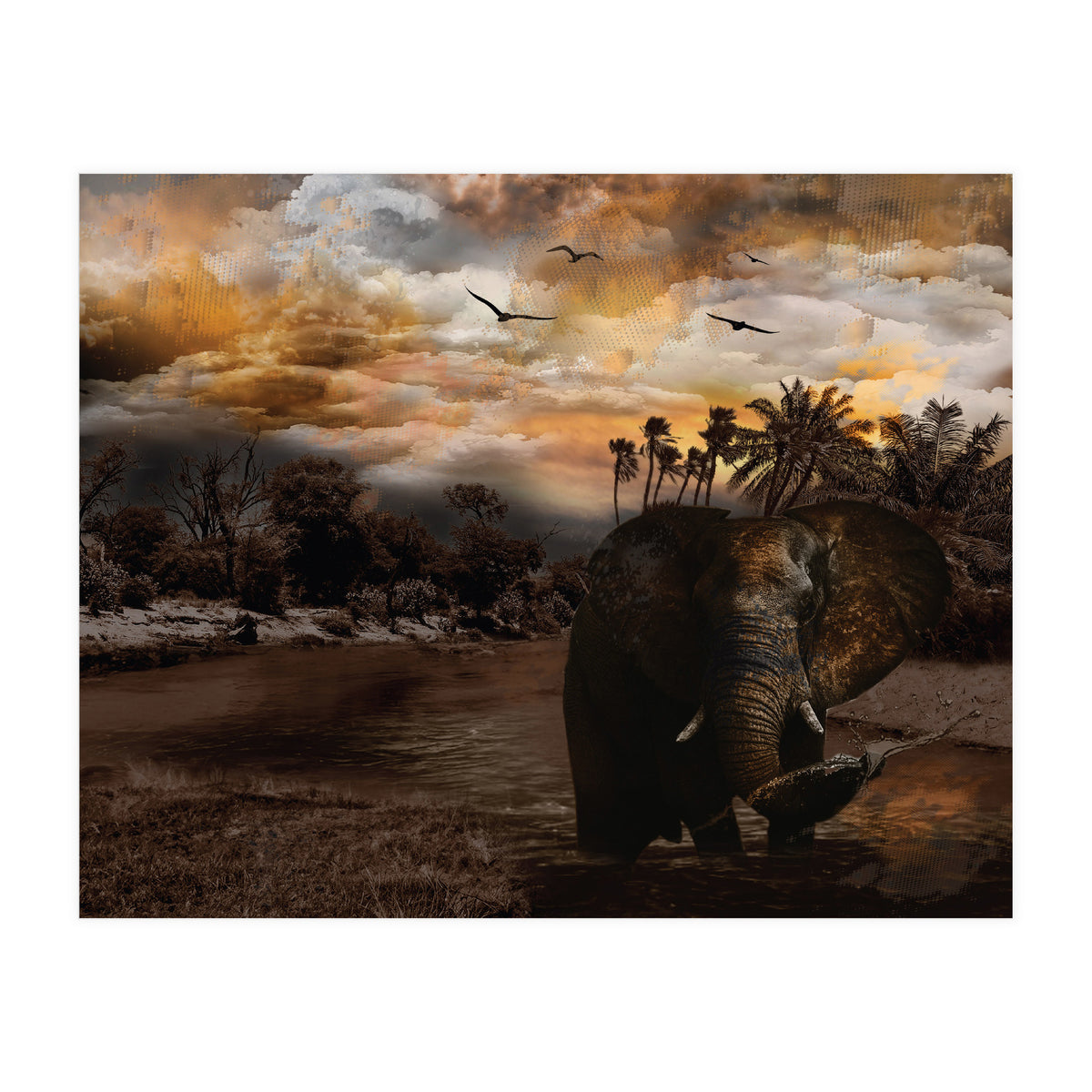 Elephant Scenic Golden Sunset African Wildlife Landscape (Print Only)