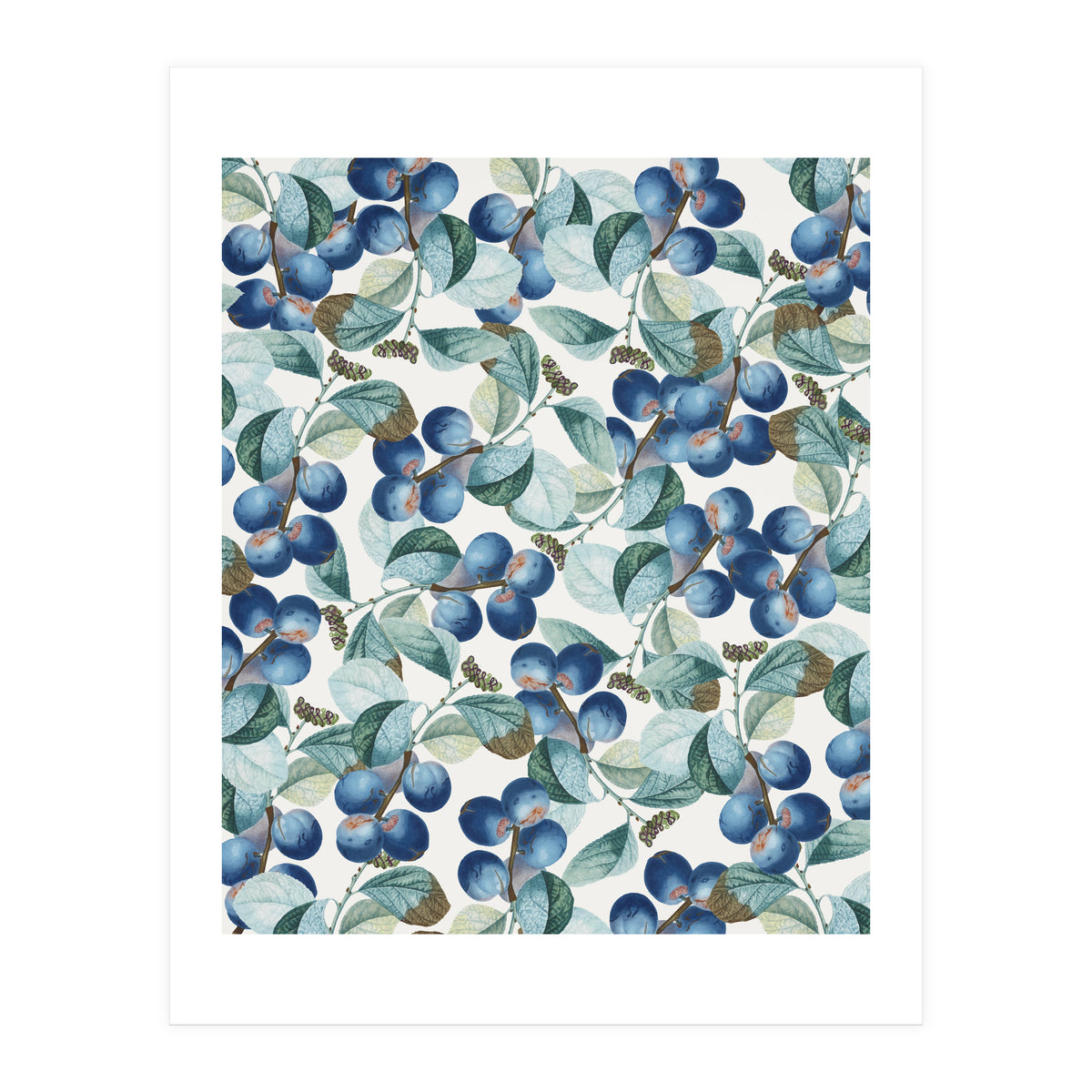 Plum Plum #society6 #decor #buyart (Print Only)