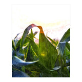 Hope With Abstraction (Print Only) thumbnail