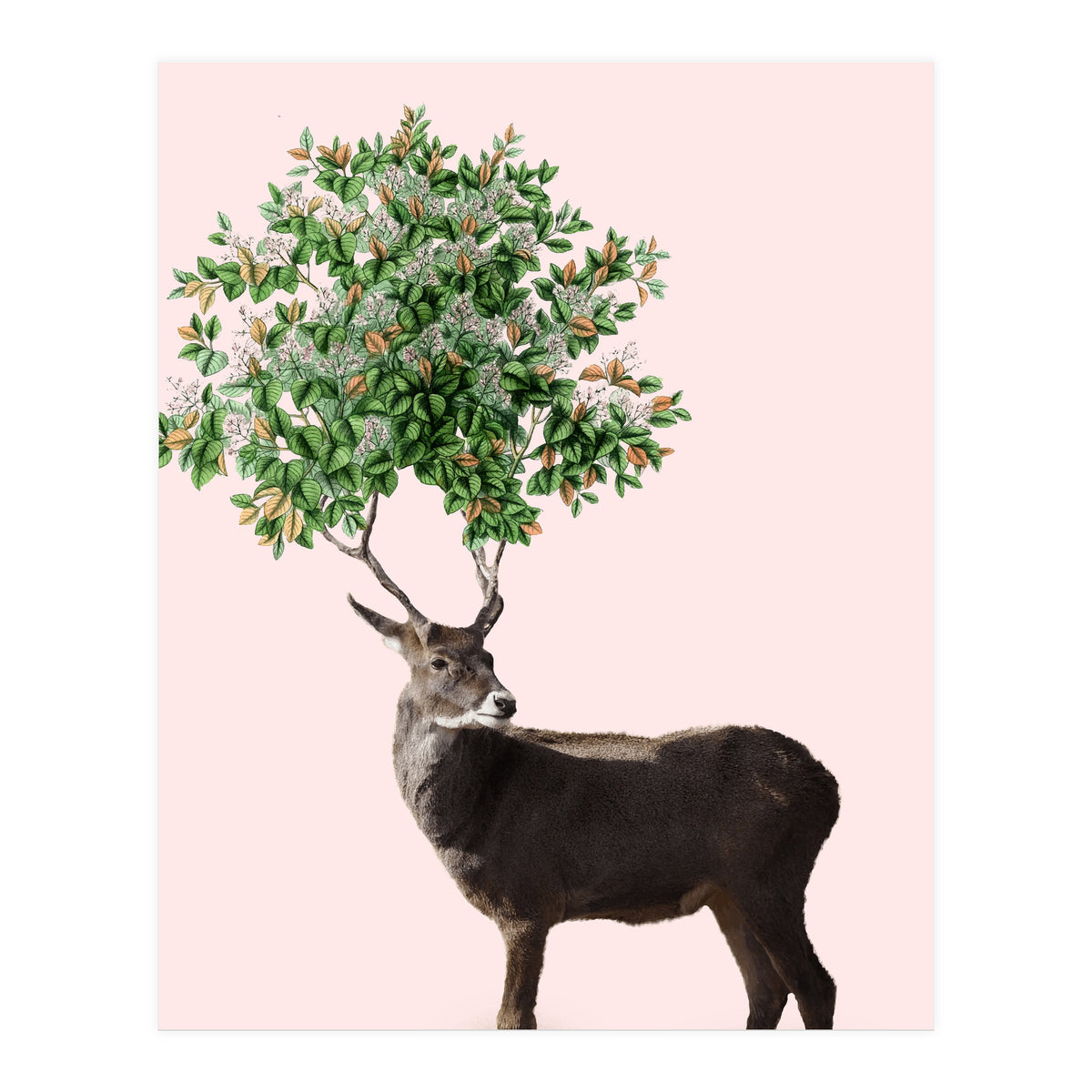 One With Nature V2 (Print Only)