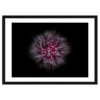 Backyard Flowers No 116 Color Flow Version