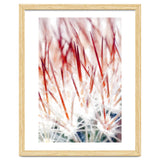 Delicate Florals thumbnail