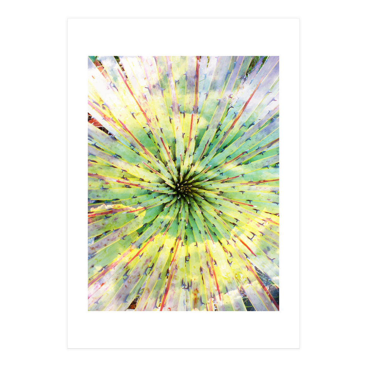 Bitter Sweet (Print Only)