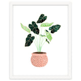 Home Plant | Ceramic Botanical Planter Illustration | Minimal Bohemian Watercolor Painting Polka Dot thumbnail