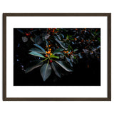 Orange, Green and Dark thumbnail