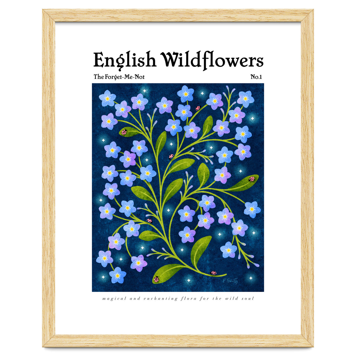 English Wildflowers | Forget-Me-Not