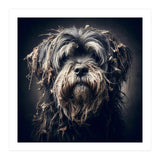 Old Dog 03 (Print Only) thumbnail