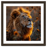 Majestic Lion In A Field Of Sunflowers thumbnail
