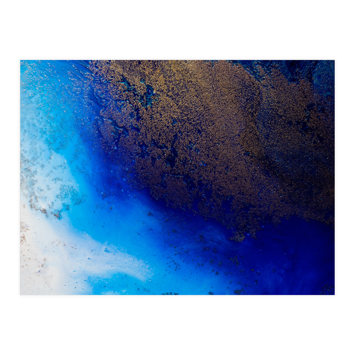 The Big Blue (Print Only)