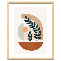 Soft Shapes III