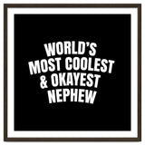 World's most coolest and okayest nephew thumbnail