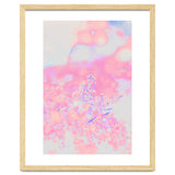 Chamomile thumbnail