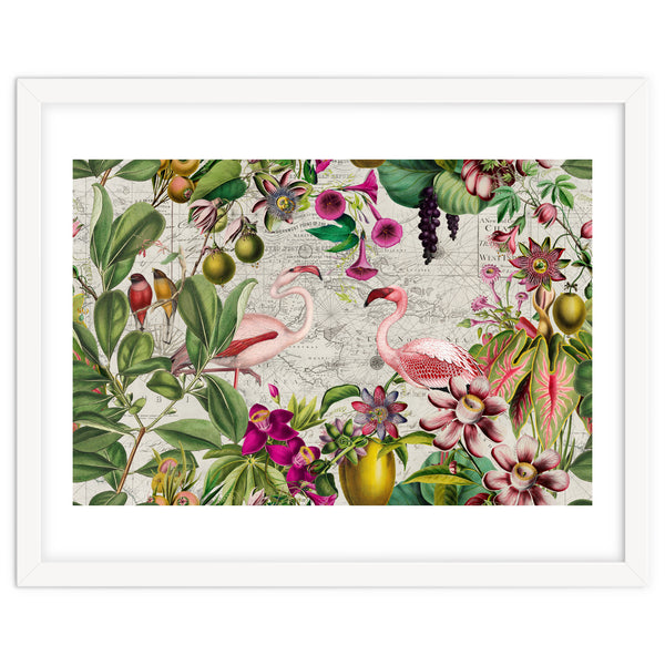 Flamingo Island 2