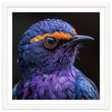 Close Up Portrait Of A Vibrant Exotic Bird thumbnail