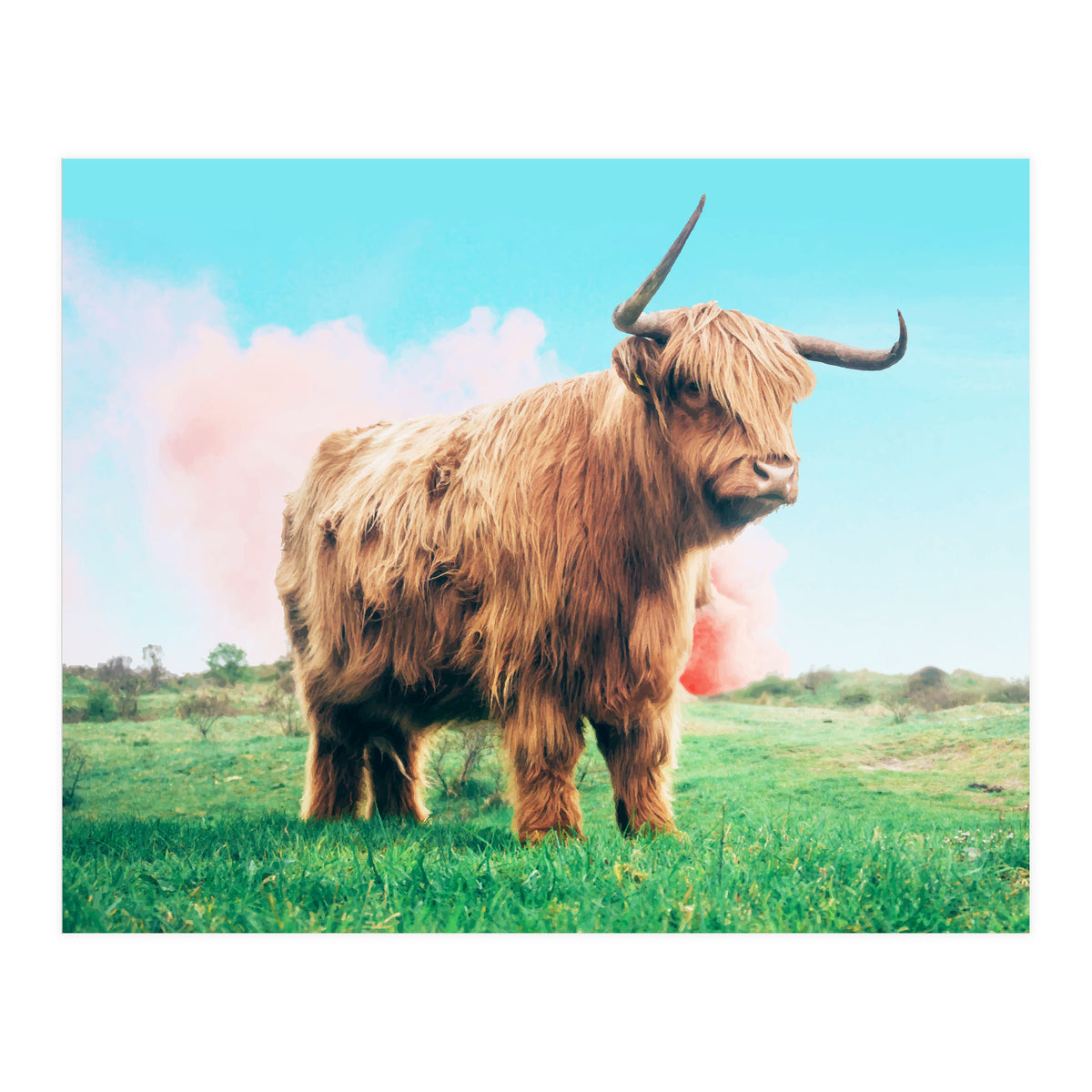 Highland Cow #society6 #decor #buyart (Print Only)