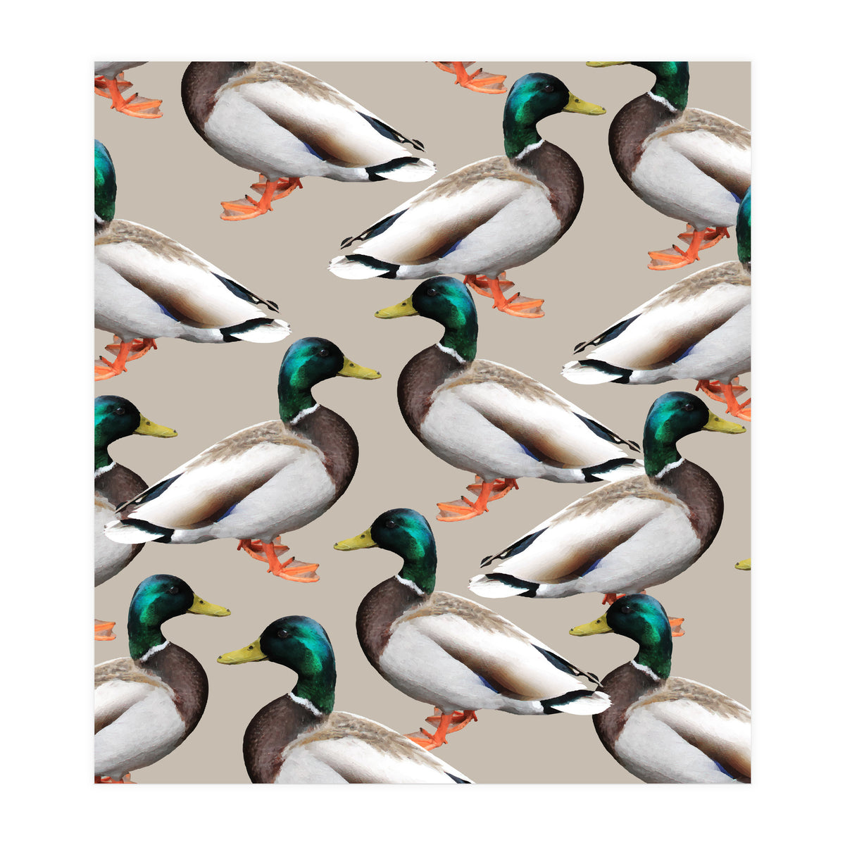 Mallards (Print Only)
